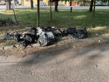 Szemétkupac bejelentés - 9025 Győr Liget utca játszótér melletti zöld terület.