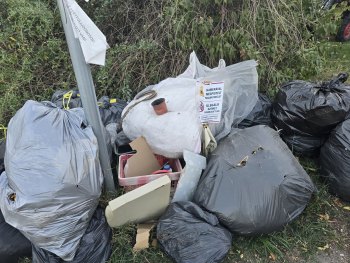 Szemétkupac bejelentés - 9028 Győr, Erdőszél utca 2